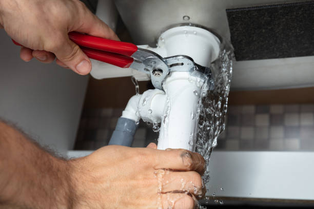 Best Water damage repair service  in Pleasureville, KY