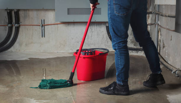 Best Professional water damage repair  in Pleasureville, KY