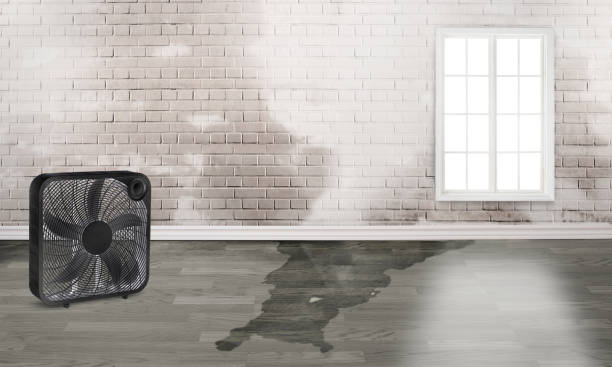 Best 24-hour water damage restoration  in Pleasureville, KY