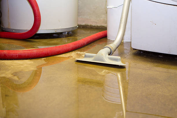 Best Mold removal after water damage  in Pleasureville, KY