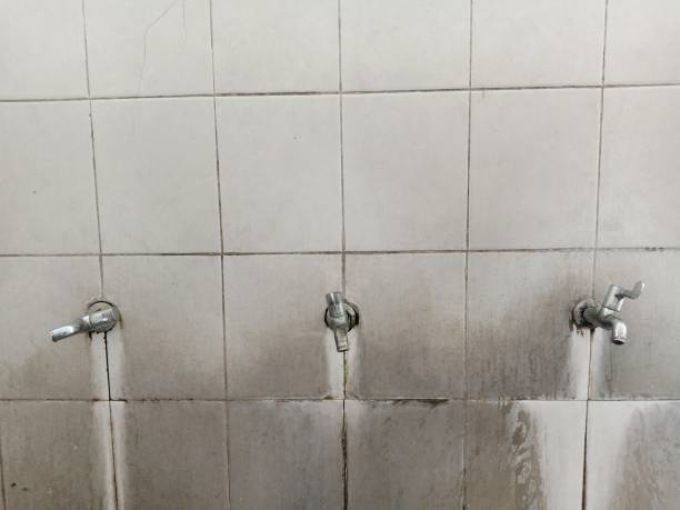 Best Carpet water damage restoration  in Pleasureville, KY