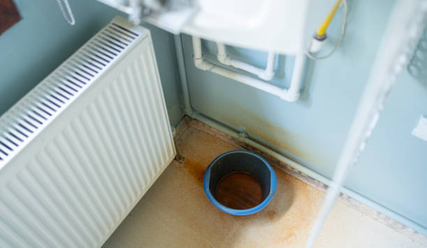 Best Water damage restoration insurance claims  in Pleasureville, KY